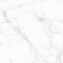 Patterned --and-- Statement White Medium Format 260x410 - 595x595 Porcelain for Wall/Floor; Finish - Natural